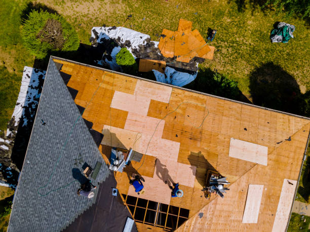 Quick and Trustworthy Emergency Roof Repair Services in The Crossings, FL