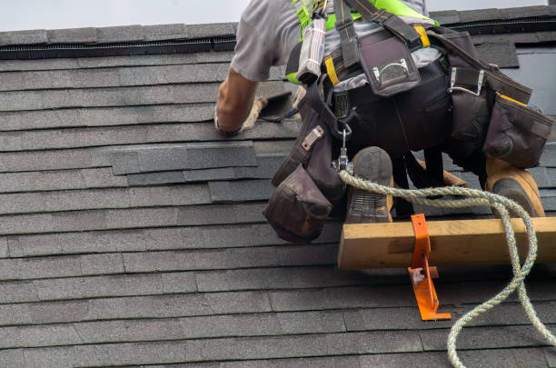 Roof Gutter Cleaning in The Crossings, FL
