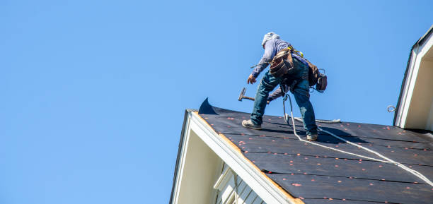 Best Shingle Roofing Installation  in The Crossings, FL